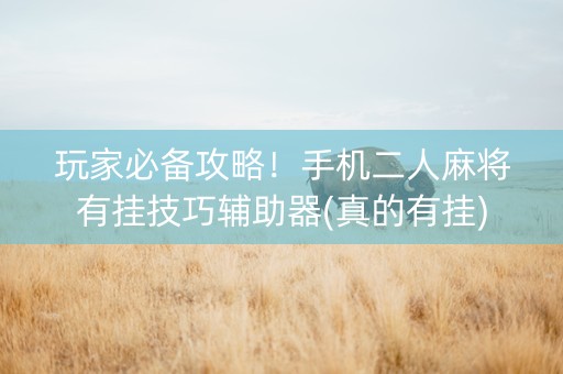 玩家必备攻略！手机二人麻将有挂技巧辅助器(真的有挂)