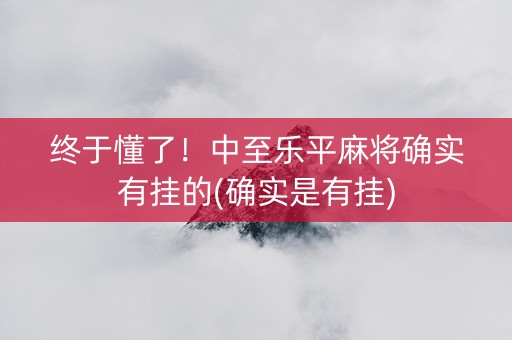 终于懂了！中至乐平麻将确实有挂的(确实是有挂)