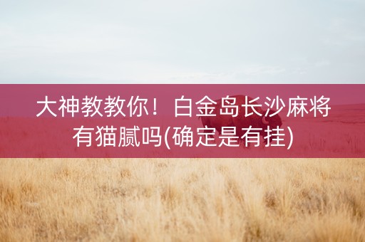大神教教你！白金岛长沙麻将有猫腻吗(确定是有挂)