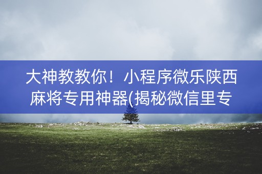 大神教教你！小程序微乐陕西麻将专用神器(揭秘微信里专用神器下载)