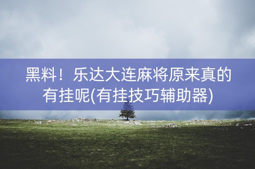 黑料！乐达大连麻将原来真的有挂呢(有挂技巧辅助器)