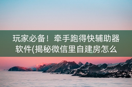 玩家必备！牵手跑得快辅助器软件(揭秘微信里自建房怎么赢)