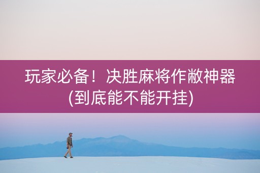 玩家必备！决胜麻将作敝神器(到底能不能开挂)