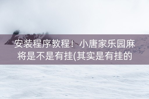 安装程序教程！小唐家乐园麻将是不是有挂(其实是有挂的)