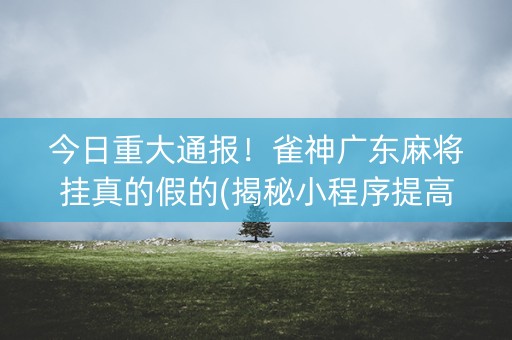 今日重大通报！雀神广东麻将挂真的假的(揭秘小程序提高赢的概率)