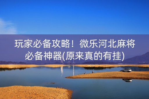 玩家必备攻略！微乐河北麻将必备神器(原来真的有挂)