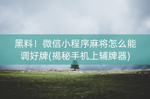 黑料！微信小程序麻将怎么能调好牌(揭秘手机上辅牌器)