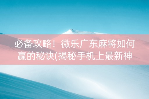 必备攻略！微乐广东麻将如何赢的秘诀(揭秘手机上最新神器下载)