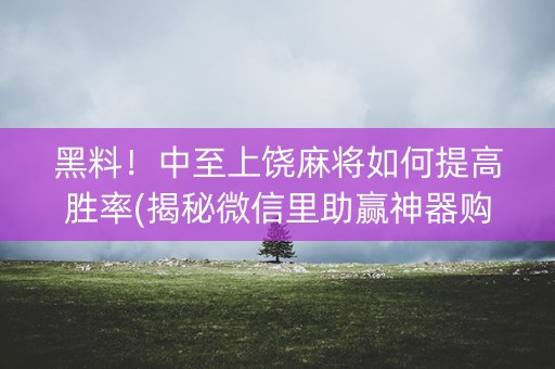 黑料！中至上饶麻将如何提高胜率(揭秘微信里助赢神器购买)