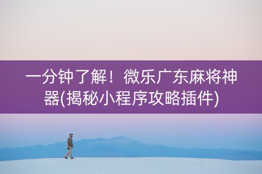 一分钟了解！微乐广东麻将神器(揭秘小程序攻略插件)