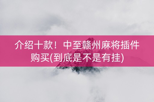 介绍十款！中至赣州麻将插件购买(到底是不是有挂)