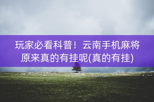 玩家必看科普！云南手机麻将原来真的有挂呢(真的有挂)