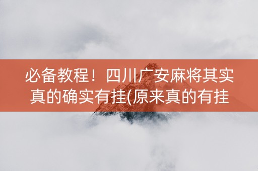 必备教程！四川广安麻将其实真的确实有挂(原来真的有挂)