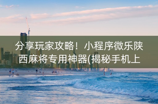 分享玩家攻略！小程序微乐陕西麻将专用神器(揭秘手机上赢的诀窍)