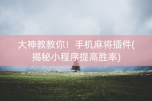 大神教教你！手机麻将插件(揭秘小程序提高胜率)