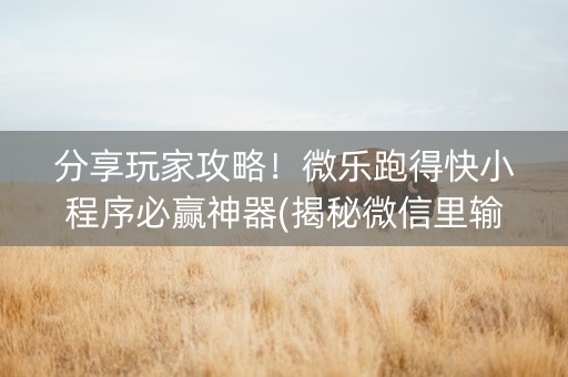 分享玩家攻略！微乐跑得快小程序必赢神器(揭秘微信里输赢规律)