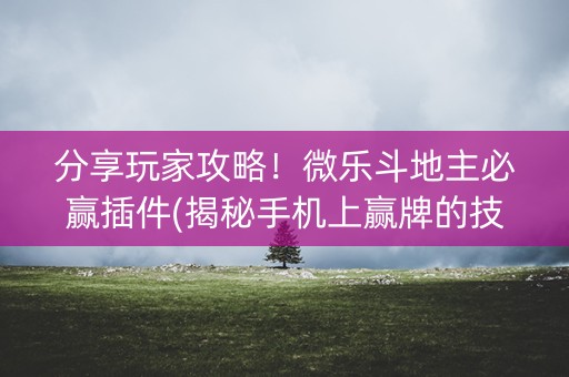 分享玩家攻略！微乐斗地主必赢插件(揭秘手机上赢牌的技巧)
