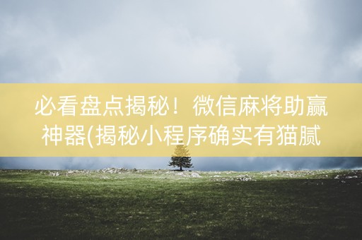 必看盘点揭秘！微信麻将助赢神器(揭秘小程序确实有猫腻)
