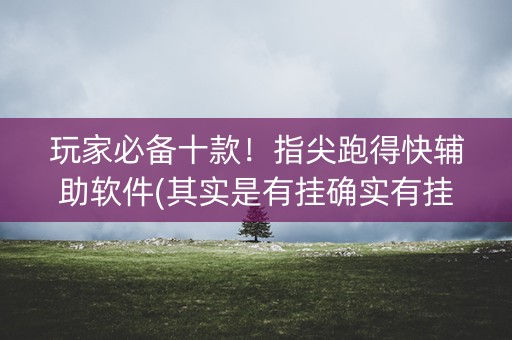 玩家必备十款！指尖跑得快辅助软件(其实是有挂确实有挂)