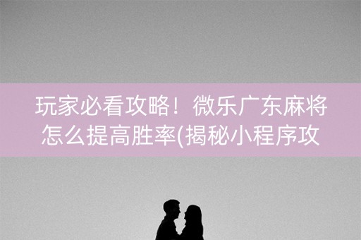 玩家必看攻略！微乐广东麻将怎么提高胜率(揭秘小程序攻略插件)