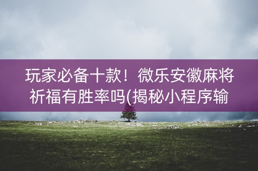 玩家必备十款！微乐安徽麻将祈福有胜率吗(揭秘小程序输赢规律)