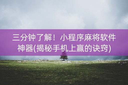 三分钟了解！小程序麻将软件神器(揭秘手机上赢的诀窍)