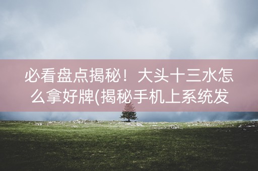 必看盘点揭秘！大头十三水怎么拿好牌(揭秘手机上系统发好牌)
