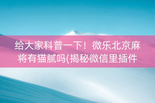 给大家科普一下！微乐北京麻将有猫腻吗(揭秘微信里插件下载)