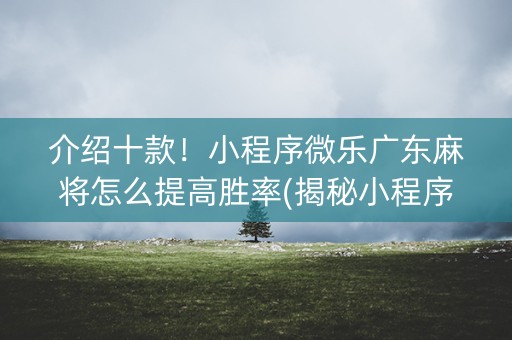 介绍十款！小程序微乐广东麻将怎么提高胜率(揭秘小程序输赢技巧)