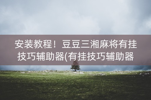 安装教程！豆豆三湘麻将有挂技巧辅助器(有挂技巧辅助器)