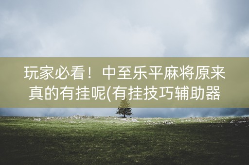 玩家必看！中至乐平麻将原来真的有挂呢(有挂技巧辅助器)