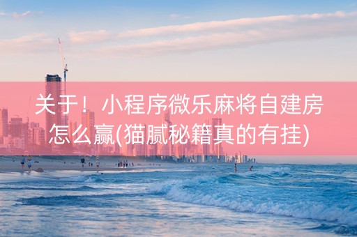 关于！小程序微乐麻将自建房怎么赢(猫腻秘籍真的有挂)