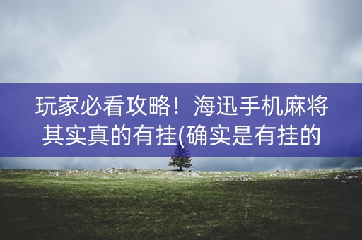 玩家必看攻略！海迅手机麻将其实真的有挂(确实是有挂的)