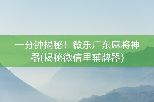 一分钟揭秘！微乐广东麻将神器(揭秘微信里辅牌器)