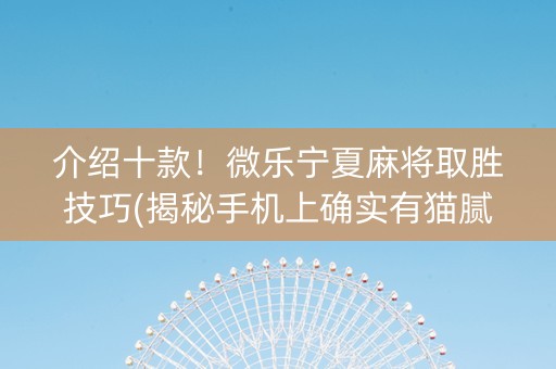 介绍十款！微乐宁夏麻将取胜技巧(揭秘手机上确实有猫腻)