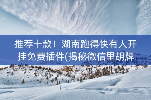推荐十款！湖南跑得快有人开挂免费插件(揭秘微信里胡牌神器)
