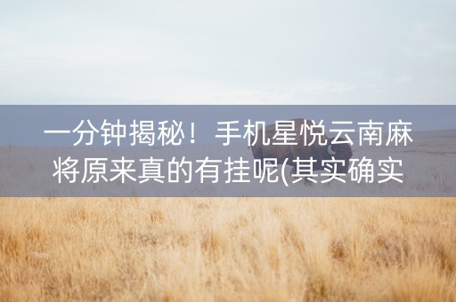 一分钟揭秘！手机星悦云南麻将原来真的有挂呢(其实确实有挂)