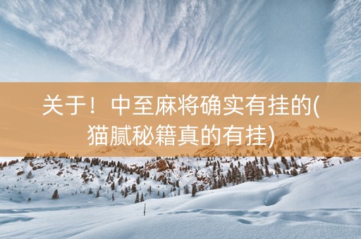 关于！中至麻将确实有挂的(猫腻秘籍真的有挂)