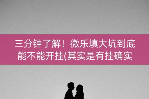 三分钟了解！微乐填大坑到底能不能开挂(其实是有挂确实有挂)