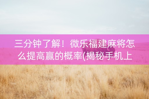 三分钟了解！微乐福建麻将怎么提高赢的概率(揭秘手机上赢牌的技巧)