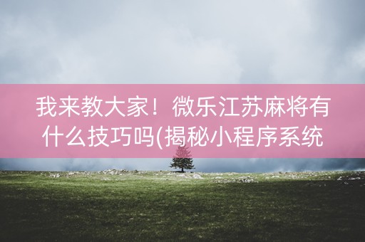 我来教大家！微乐江苏麻将有什么技巧吗(揭秘小程序系统发好牌)