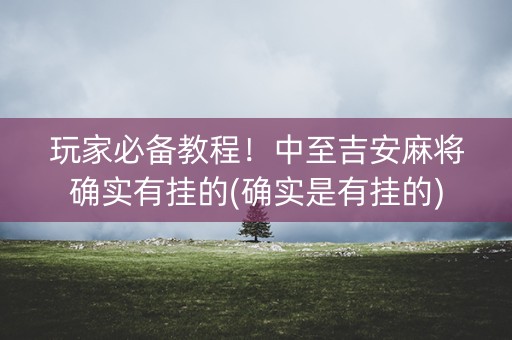 玩家必备教程！中至吉安麻将确实有挂的(确实是有挂的)
