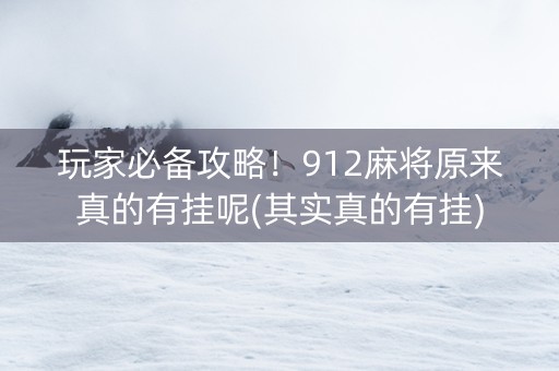 玩家必备攻略！912麻将原来真的有挂呢(其实真的有挂)
