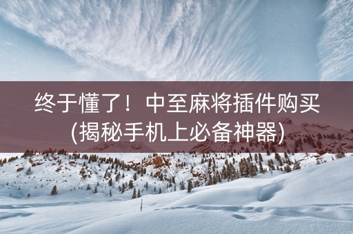 终于懂了！中至麻将插件购买(揭秘手机上必备神器)