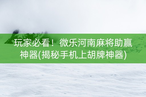 玩家必看！微乐河南麻将助赢神器(揭秘手机上胡牌神器)