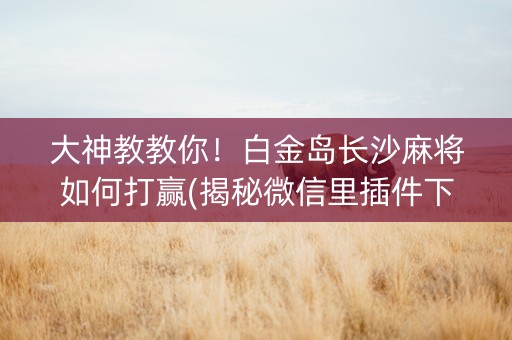 大神教教你！白金岛长沙麻将如何打赢(揭秘微信里插件下载)
