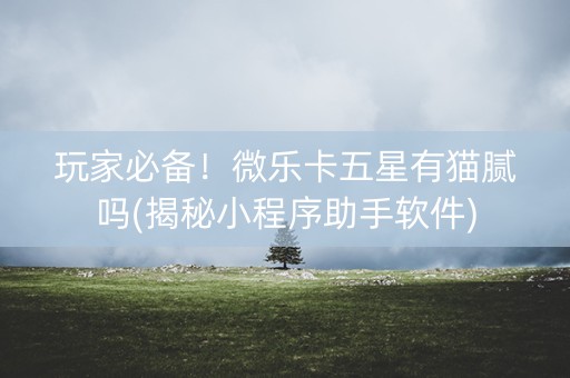 玩家必备！微乐卡五星有猫腻吗(揭秘小程序助手软件)
