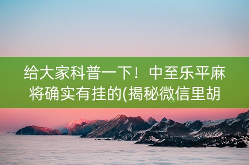 给大家科普一下！中至乐平麻将确实有挂的(揭秘微信里胡牌神器)