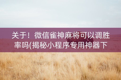 关于！微信雀神麻将可以调胜率吗(揭秘小程序专用神器下载)