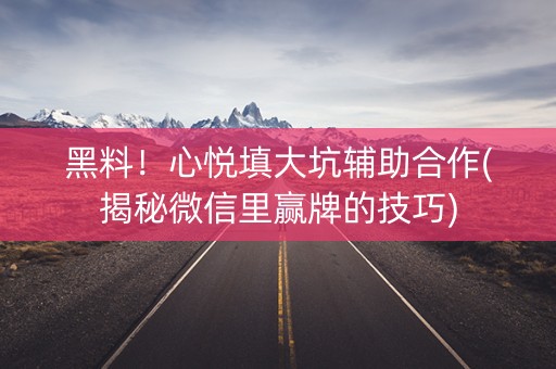 黑料！心悦填大坑辅助合作(揭秘微信里赢牌的技巧)
